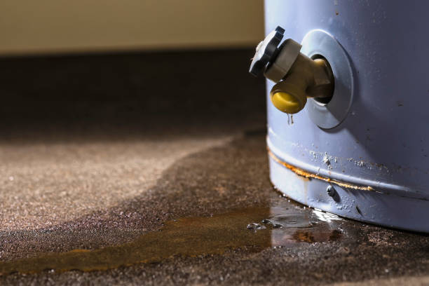 Best Emergency water damage restoration  in Pho, IL