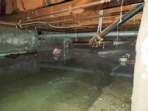 Professional Water damage restoration in Philo, IL