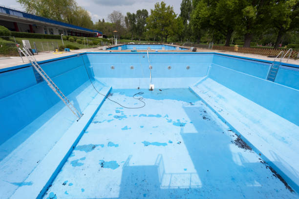 Best Professional water damage repair  in Pho, IL