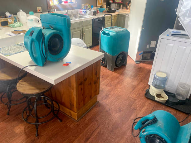 Best Flooded house restoration  in Pho, IL
