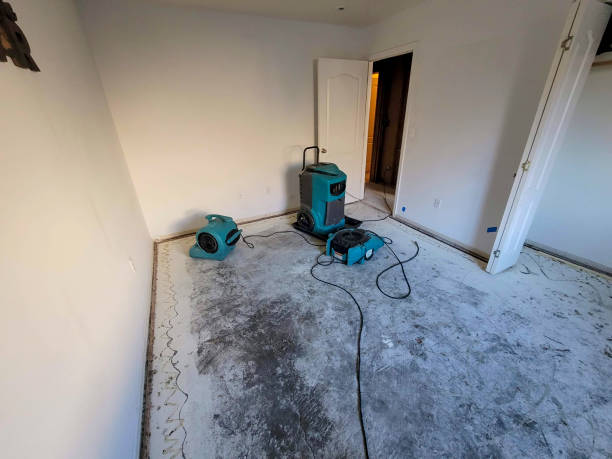 Best Water damage repair service  in Pho, IL