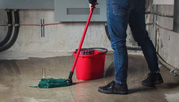 Best 24-hour water damage restoration  in Pho, IL