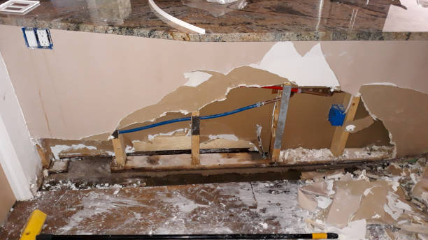 Best Water damage restoration near me  in Pho, IL