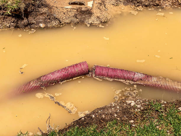 Best 24-hour water damage restoration  in Pho, IL