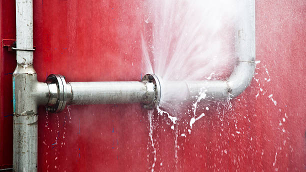 Best Mold removal after water damage  in Pho, IL